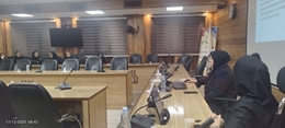 برگزاری کنفرانس آموزش مداوم تاثیر هاپسکاچ بر نتایج بارداری توسط مرکز تحقبقات ارتقا سلامت باروری